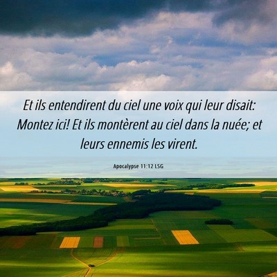 Picture 06 - Apocalypse 11:12 LSG - Et ils entendirent du ciel une voix qui leur - Bible Verse Picture