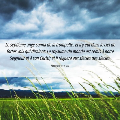 Picture 06 - Apocalypse 11:15 LSG - Le septième ange sonna de la trompette. Et il y - Bible Verse Picture