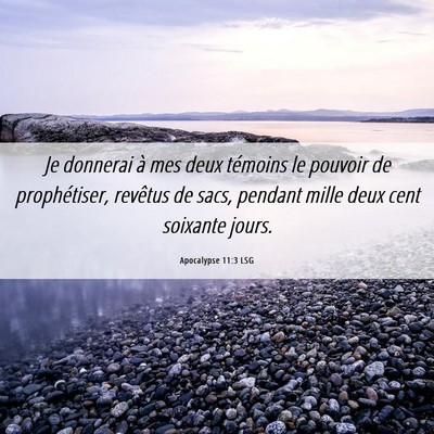 Picture 06 - Apocalypse 11:3 LSG - Je donnerai à mes deux témoins le pouvoir de - Bible Verse Picture