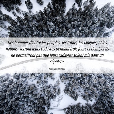 Picture 06 - Apocalypse 11:9 LSG - Des hommes d'entre les peuples, les tribus, les - Bible Verse Picture