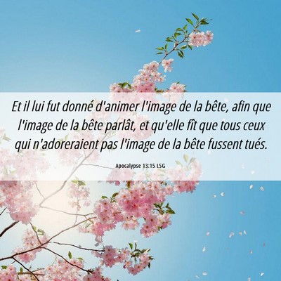 Picture 06 - Apocalypse 13:15 LSG - Et il lui fut donné d'animer l'image de la - Bible Verse Picture