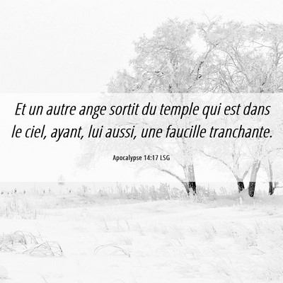 Picture 06 - Apocalypse 14:17 LSG - Et un autre ange sortit du temple qui est dans le - Bible Verse Picture