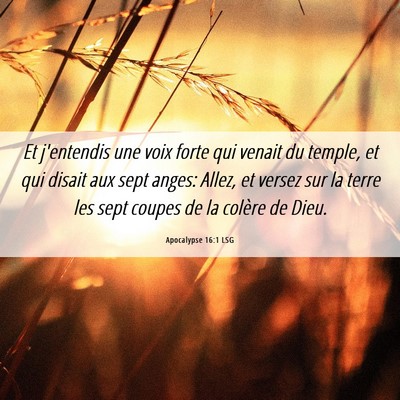 Picture 06 - Apocalypse 16:1 LSG - Et j'entendis une voix forte qui venait du - Bible Verse Picture