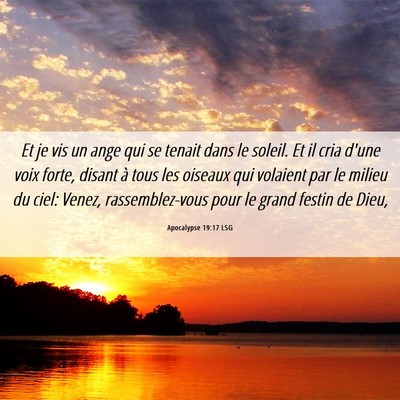Picture 06 - Apocalypse 19:17 LSG - Et je vis un ange qui se tenait dans le soleil. - Bible Verse Picture