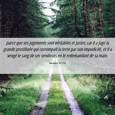 Picture 06 - Apocalypse 19:2 LSG - parce que ses jugements sont véritables et - Bible Verse Picture