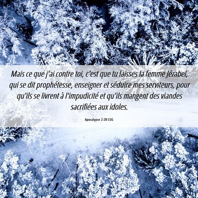 Picture 06 - Apocalypse 2:20 LSG - Mais ce que j'ai contre toi, c'est que tu laisses - Bible Verse Picture