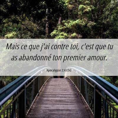 Picture 06 - Apocalypse 2:4 LSG - Mais ce que j'ai contre toi, c'est que tu as - Bible Verse Picture