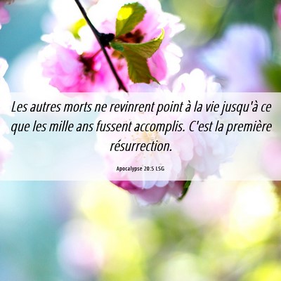 Picture 06 - Apocalypse 20:5 LSG - Les autres morts ne revinrent point à la vie - Bible Verse Picture