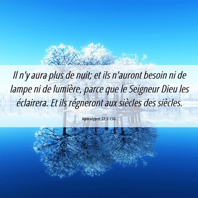 Picture 06 - Apocalypse 22:5 LSG - Il n'y aura plus de nuit; et ils n'auront besoin - Bible Verse Picture