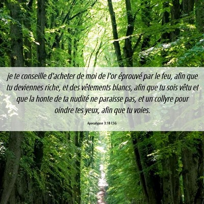 Picture 06 - Apocalypse 3:18 LSG - je te conseille d'acheter de moi de l'or - Bible Verse Picture