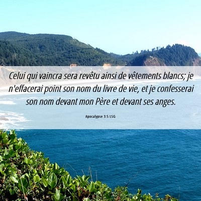 Picture 06 - Apocalypse 3:5 LSG - Celui qui vaincra sera revêtu ainsi de - Bible Verse Picture