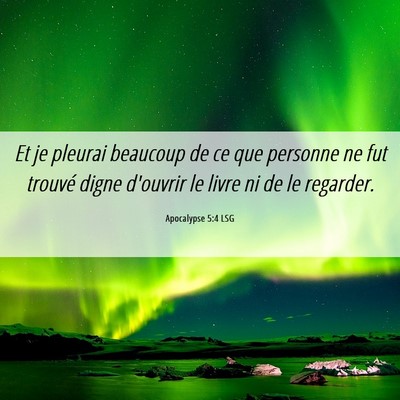 Picture 06 - Apocalypse 5:4 LSG - Et je pleurai beaucoup de ce que personne ne fut - Bible Verse Picture