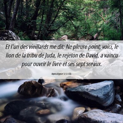 Picture 06 - Apocalypse 5:5 LSG - Et l'un des vieillards me dit: Ne pleure point; - Bible Verse Picture