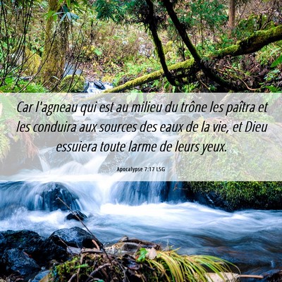 Picture 06 - Apocalypse 7:17 LSG - Car l'agneau qui est au milieu du trône les - Bible Verse Picture