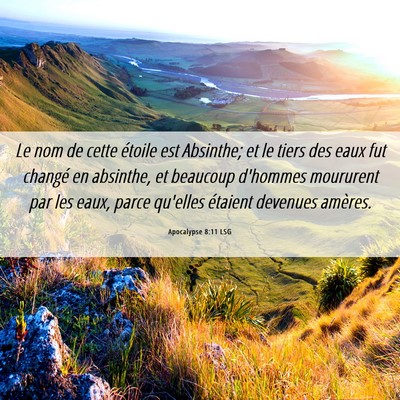 Picture 06 - Apocalypse 8:11 LSG - Le nom de cette étoile est Absinthe; et le tiers - Bible Verse Picture
