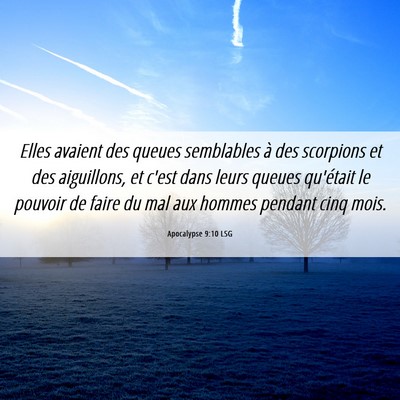 Picture 06 - Apocalypse 9:10 LSG - Elles avaient des queues semblables à des - Bible Verse Picture