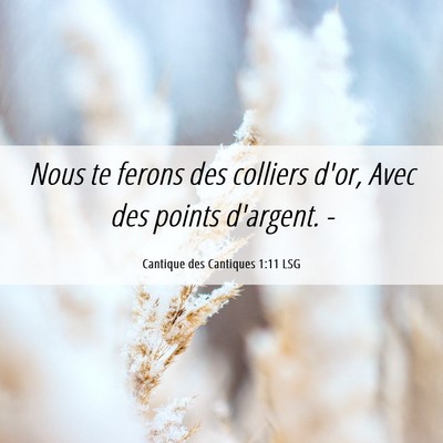 Picture 06 - Cantique des Cantiques 1:11 LSG - Nous te ferons des colliers d'or, Avec des points - Bible Verse Picture