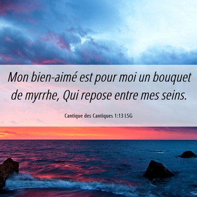 Picture 06 - Cantique des Cantiques 1:13 LSG - Mon bien-aimé est pour moi un bouquet de myrrhe, - Bible Verse Picture