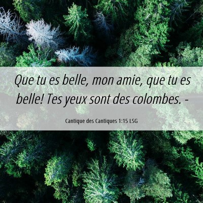 Picture 06 - Cantique des Cantiques 1:15 LSG - Que tu es belle, mon amie, que tu es belle! Tes - Bible Verse Picture