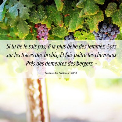 Picture 06 - Cantique des Cantiques 1:8 LSG - Si tu ne le sais pas, ô la plus belle des - Bible Verse Picture