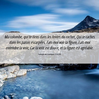 Picture 06 - Cantique des Cantiques 2:14 LSG - Ma colombe, qui te tiens dans les fentes du - Bible Verse Picture