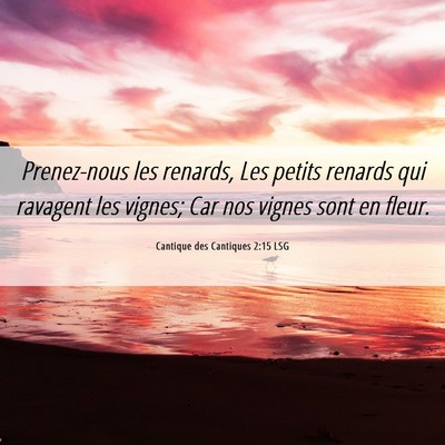 Picture 06 - Cantique des Cantiques 2:15 LSG - Prenez-nous les renards, Les petits renards qui - Bible Verse Picture