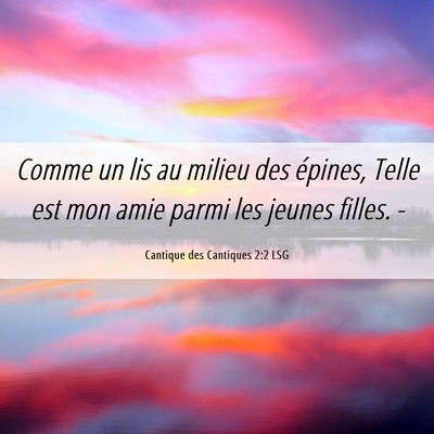 Picture 06 - Cantique des Cantiques 2:2 LSG - Comme un lis au milieu des épines, Telle est mon - Bible Verse Picture