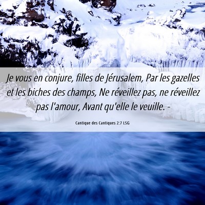 Picture 06 - Cantique des Cantiques 2:7 LSG - Je vous en conjure, filles de Jérusalem, Par les - Bible Verse Picture