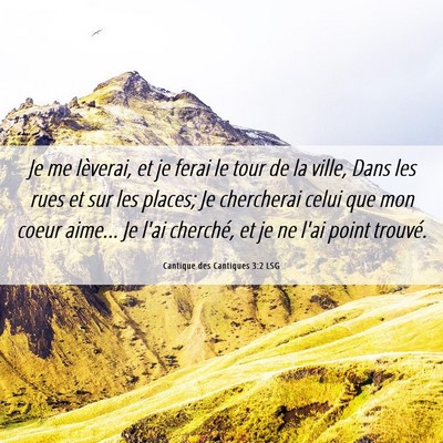 Picture 06 - Cantique des Cantiques 3:2 LSG - Je me lèverai, et je ferai le tour de la ville, - Bible Verse Picture