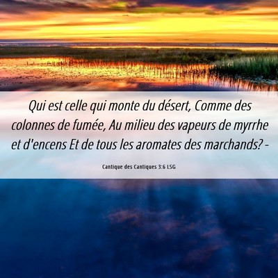 Picture 06 - Cantique des Cantiques 3:6 LSG - Qui est celle qui monte du désert, Comme des - Bible Verse Picture