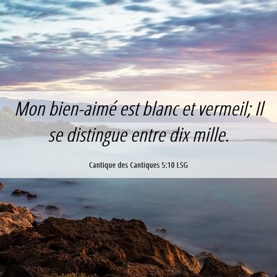 Picture 06 - Cantique des Cantiques 5:10 LSG - Mon bien-aimé est blanc et vermeil; Il se - Bible Verse Picture