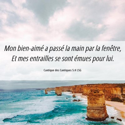 Picture 06 - Cantique des Cantiques 5:4 LSG - Mon bien-aimé a passé la main par la fenêtre, - Bible Verse Picture