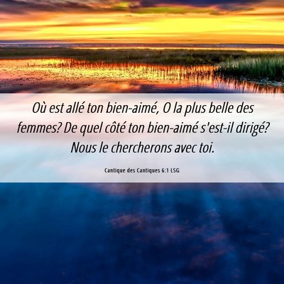 Picture 06 - Cantique des Cantiques 6:1 LSG - Où est allé ton bien-aimé, O la plus belle des - Bible Verse Picture