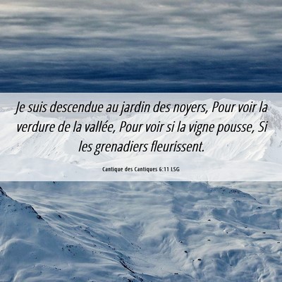 Picture 06 - Cantique des Cantiques 6:11 LSG - Je suis descendue au jardin des noyers, Pour voir - Bible Verse Picture