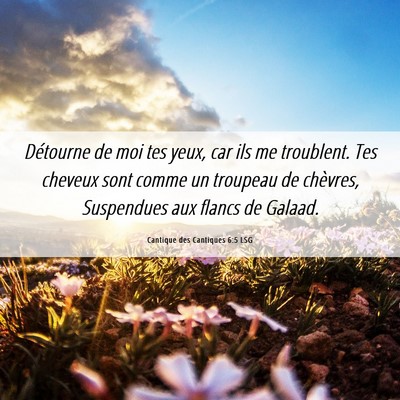 Picture 06 - Cantique des Cantiques 6:5 LSG - Détourne de moi tes yeux, car ils me troublent. - Bible Verse Picture