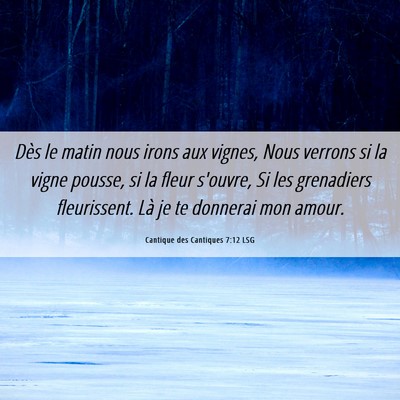 Picture 06 - Cantique des Cantiques 7:12 LSG - Dès le matin nous irons aux vignes, Nous verrons - Bible Verse Picture