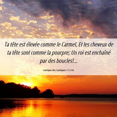 Picture 06 - Cantique des Cantiques 7:5 LSG - Ta tête est élevée comme le Carmel, Et les - Bible Verse Picture