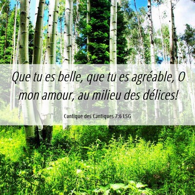 Picture 06 - Cantique des Cantiques 7:6 LSG - Que tu es belle, que tu es agréable, O mon - Bible Verse Picture