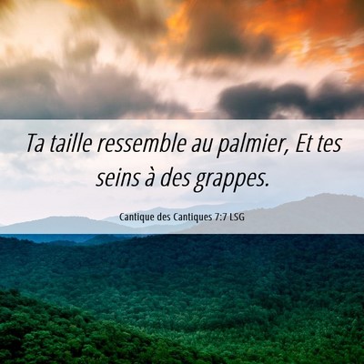 Picture 06 - Cantique des Cantiques 7:7 LSG - Ta taille ressemble au palmier, Et tes seins à - Bible Verse Picture