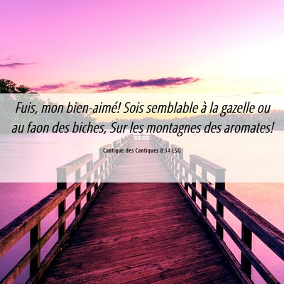 Picture 06 - Cantique des Cantiques 8:14 LSG - Fuis, mon bien-aimé! Sois semblable à la - Bible Verse Picture