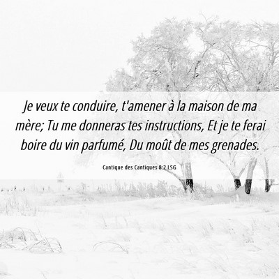 Picture 06 - Cantique des Cantiques 8:2 LSG - Je veux te conduire, t'amener à la maison de ma - Bible Verse Picture