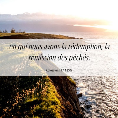 Picture 06 - Colossiens 1:14 LSG - en qui nous avons la rédemption, la rémission - Bible Verse Picture