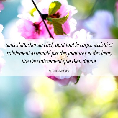 Picture 06 - Colossiens 2:19 LSG - sans s'attacher au chef, dont tout le corps, - Bible Verse Picture