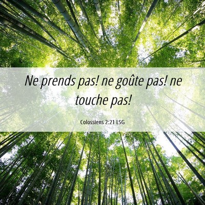 Picture 06 - Colossiens 2:21 LSG - Ne prends pas! ne goûte pas! ne touche - Bible Verse Picture