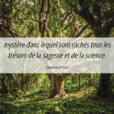 Picture 06 - Colossiens 2:3 LSG - mystère dans lequel sont cachés tous les - Bible Verse Picture