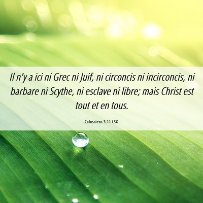 Picture 06 - Colossiens 3:11 LSG - Il n'y a ici ni Grec ni Juif, ni circoncis ni - Bible Verse Picture