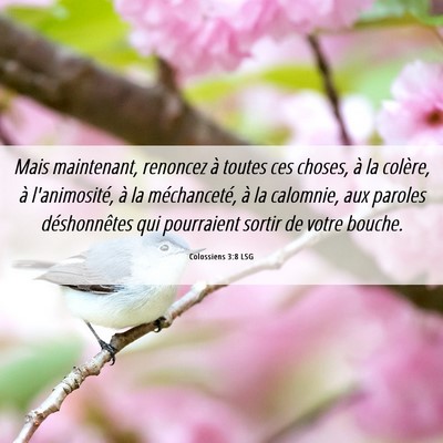 Picture 06 - Colossiens 3:8 LSG - Mais maintenant, renoncez à toutes ces choses, - Bible Verse Picture