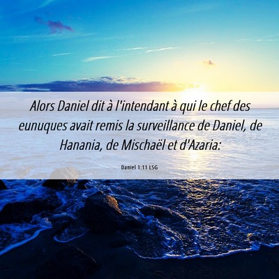 Picture 06 - Daniel 1:11 LSG - Alors Daniel dit à l'intendant à qui le chef - Bible Verse Picture