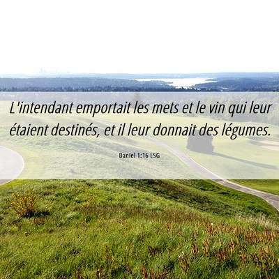 Picture 06 - Daniel 1:16 LSG - L'intendant emportait les mets et le vin qui leur - Bible Verse Picture