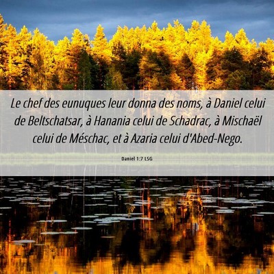 Picture 06 - Daniel 1:7 LSG - Le chef des eunuques leur donna des noms, à - Bible Verse Picture